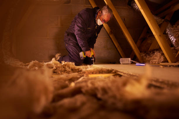 Best Types of Insulation in Kodi, AK
